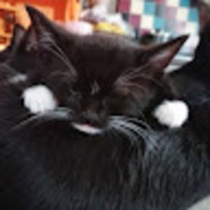 Meet your Posher, Kat